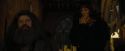 CdF-Potterish_4471.jpg
