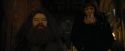 CdF-Potterish_4472.jpg