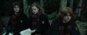 CdF-Potterish_4485.jpg