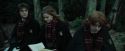 CdF-Potterish_4486.jpg