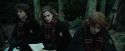 CdF-Potterish_4487.jpg