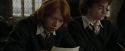 CdF-Potterish_4522.jpg