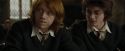 CdF-Potterish_4528.jpg