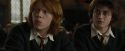 CdF-Potterish_4529.jpg