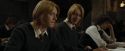 CdF-Potterish_4531.jpg