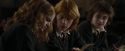CdF-Potterish_4550.jpg
