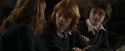 CdF-Potterish_4553.jpg