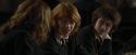 CdF-Potterish_4565.jpg