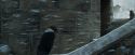CdF-Potterish_4619.jpg