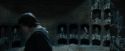 CdF-Potterish_4688.jpg
