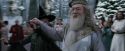 CdF-Potterish_5000.jpg