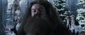 CdF-Potterish_5044.jpg
