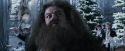 CdF-Potterish_5045.jpg