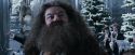 CdF-Potterish_5048.jpg