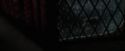 CdF-Potterish_5281.jpg