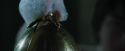CdF-Potterish_5513.jpg