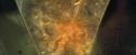 CdF-Potterish_5515.jpg