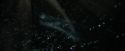 CdF-Potterish_5546.jpg