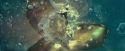 CdF-Potterish_5591.jpg