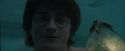 CdF-Potterish_5615.jpg