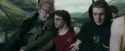 CdF-Potterish_5838.jpg