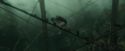 CdF-Potterish_5862.jpg