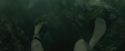CdF-Potterish_5872.jpg