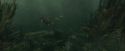 CdF-Potterish_5901.jpg