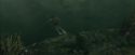 CdF-Potterish_5903.jpg