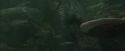 CdF-Potterish_5913.jpg