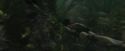 CdF-Potterish_5915.jpg