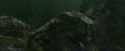CdF-Potterish_5916.jpg