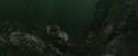CdF-Potterish_5917.jpg