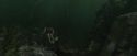 CdF-Potterish_5918.jpg