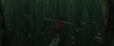CdF-Potterish_5928.jpg