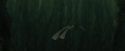 CdF-Potterish_5930.jpg