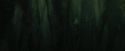 CdF-Potterish_5943.jpg
