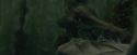 CdF-Potterish_5950.jpg