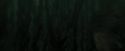 CdF-Potterish_5958.jpg