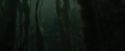 CdF-Potterish_5969.jpg