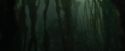 CdF-Potterish_5975.jpg
