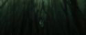 CdF-Potterish_5990.jpg