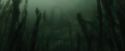 CdF-Potterish_5995.jpg
