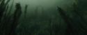 CdF-Potterish_5996.jpg