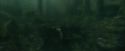 CdF-Potterish_6006.jpg