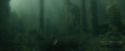 CdF-Potterish_6010.jpg