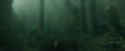 CdF-Potterish_6011.jpg