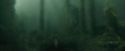 CdF-Potterish_6012.jpg