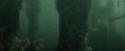 CdF-Potterish_6016.jpg
