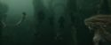CdF-Potterish_6039.jpg